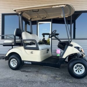 2018 Yamaha Drive2 Gas 4P | Beige