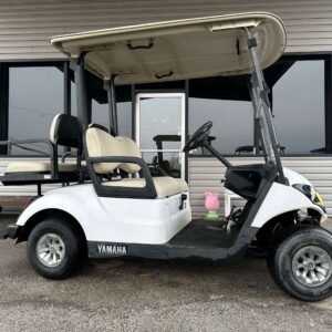 2019 Yamaha Drive2 QuieTech Gas 4P | White